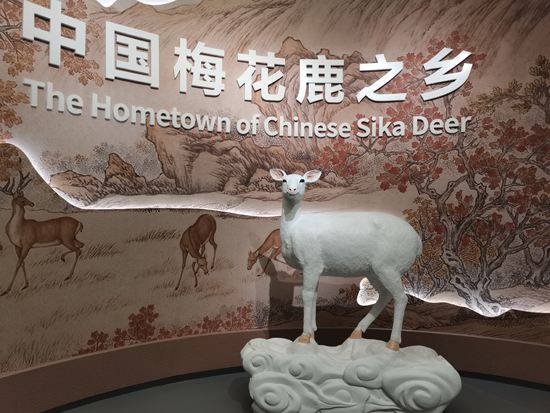 5f729638c83ad.png 圖片 1.png